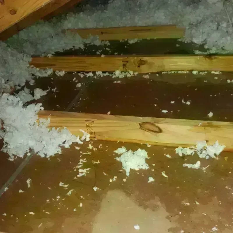 Best Attic Water Damage Service in Morris, MN