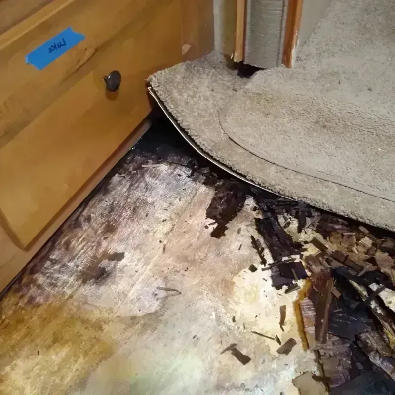 Wood Floor Water Damage in Morris, MN